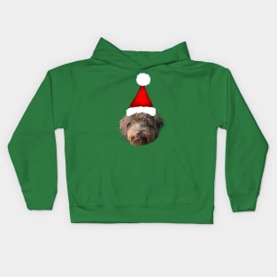 Santa Hat Havanese Dog Xmas Portrait Kids Hoodie